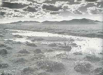 紅軍走過的水草地