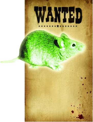 美核工廠發現含放射物質老鼠 民眾擔心變異