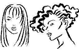 Why is some hair curly and some hair straight?