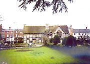 Shakespeare's Birthday（莎士比亞誕辰紀念日）