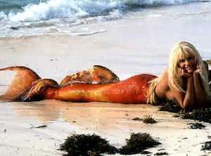 Mermaid（美人魚(yú)）的來(lái)歷