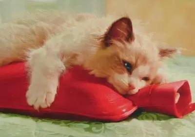 女生每個(gè)月的那幾天怎么說？外國(guó)妹子竟然也說“大姨媽”！