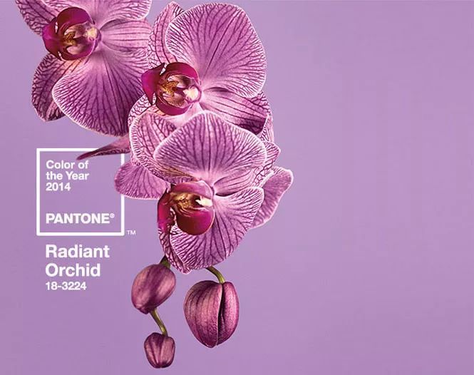 搶先看！2018年度色彩如此神秘又高科技