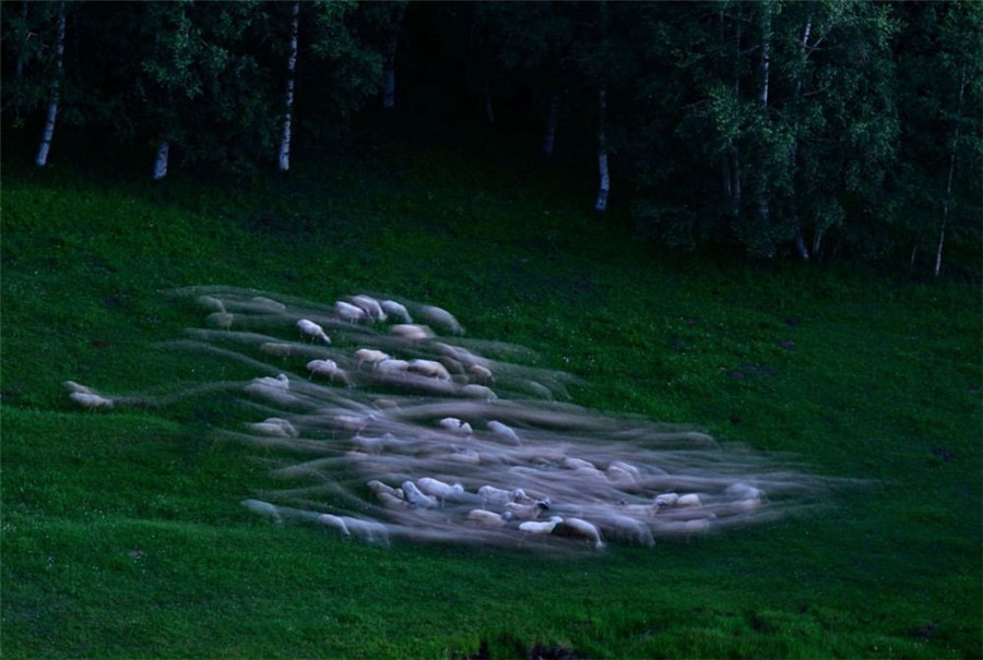 如詩(shī)如畫(huà)：“美麗中國(guó)·夢(mèng)想中國(guó)”攝影大賽優(yōu)秀作品欣賞（組圖）