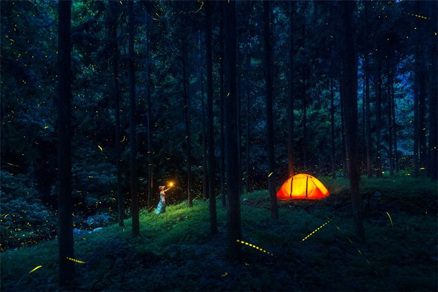 如詩如畫：“美麗中國·夢想中國”攝影大賽優秀作品欣賞（組圖）