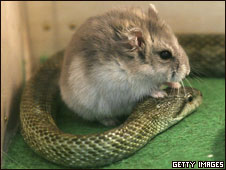 Similar Chinese and English Idioms漢英對(duì)應(yīng)成語