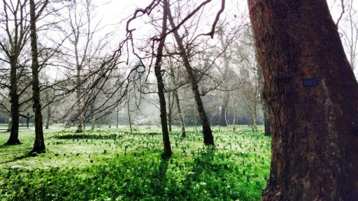 留學日記：也談思鄉情懷