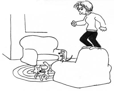 老鼠、鼠夾和我