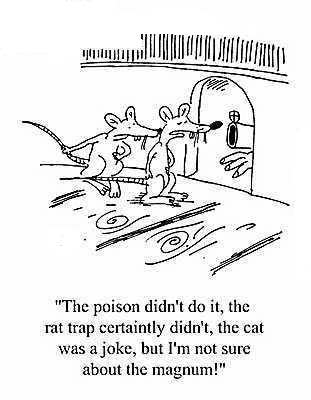 老鼠、鼠夾和我