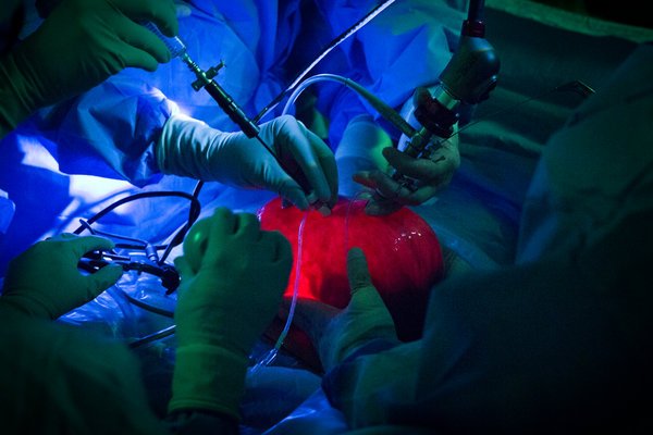 雙語盤點(diǎn)：2017年，我們了解到哪些科學(xué)新知？