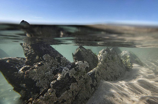 英古堡附近現(xiàn)百年前神秘遇難船(組圖)