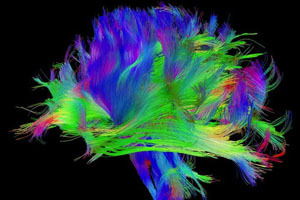 《連線》2013最受關(guān)注的13個科學(xué)故事